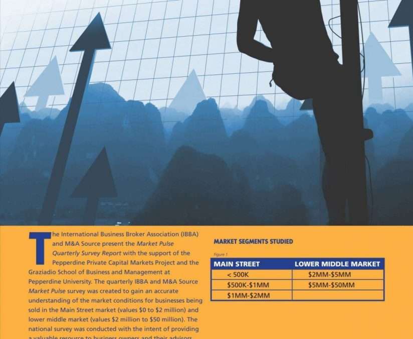 Business Sales and M&A Specialists