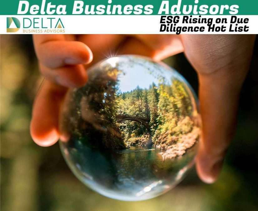 ESG Rising on Due Diligence Hot List Business Sales and M&A Specialists
