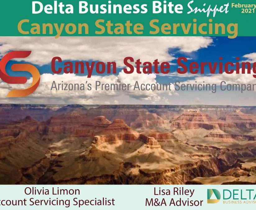Business Sales and M&A Specialists