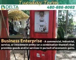 Business Enterprise Definition