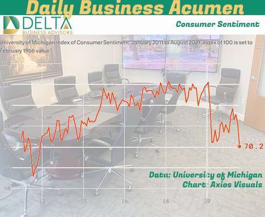 Consumer Sentiment Business Sales and M&A Specialists