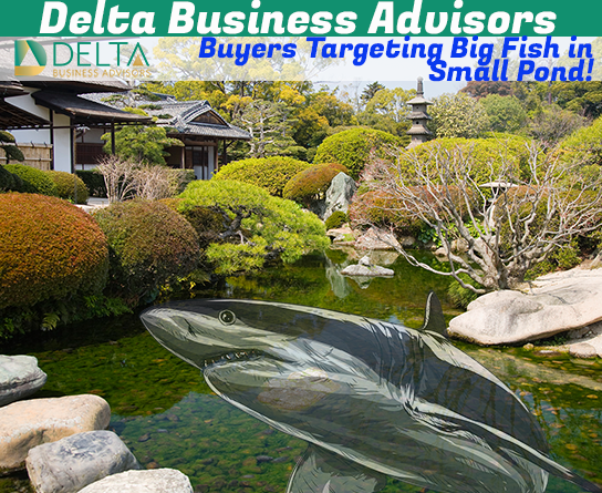 Buyers Targeting Big Fish in Small Pond! Big Fish Small Pond